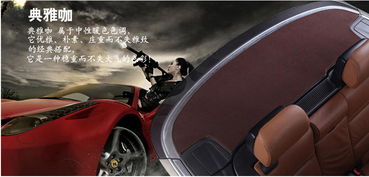 飛石專車專用汽車后櫥窗墊 提升駕駛安全的貼心設(shè)計(jì)